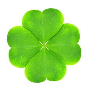 Das Kleeblatt ist ein bedeutsames Symbol für die Geschichte Irlands. Vierblättriges Kleeblatt.