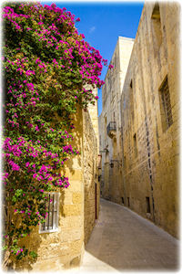 Diese schöne Altstadt gehört zu Mdina. Sie war früher die Hauptstadt Maltas und hat nunmehr knapp 250 Einwohner. Eine schmale Gasse mit violetten Blumen im Mdina, Malta.