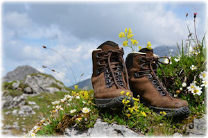 Vielleicht haben Sie auf der Reise mit dem Ausfuhrkennzeichen in die Schweiz auch Lust auf eine Wanderung. Ein Paar Wanderschuhe steht auf einem felsigen Untergrund.